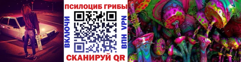 OMG ссылка  Фатеж  Галлюциногенные грибы Psilocybe 